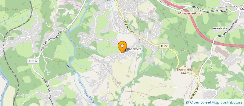 localisation de l'entreprise MONSIEUR IGOR ROMARIC  SAINT-PIERRE-D'IRUBE