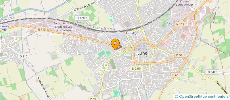 localisation de l'entreprise MONSIEUR IGOR SAAKIAN  LUNEL