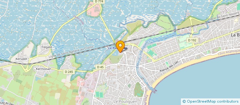 localisation de l'entreprise MONSIEUR ILAN LAIK  LE POULIGUEN