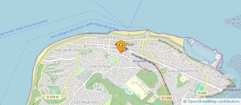 localisation de l'entreprise MONSIEUR ILAN MONTAGNE  ARCACHON