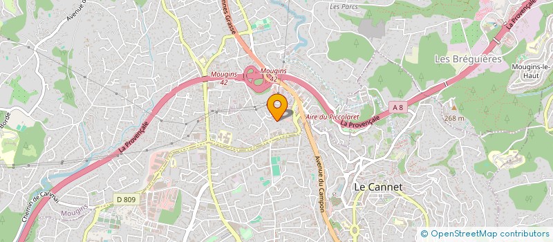 localisation de l'entreprise MONSIEUR ILAN ROG à MOUGINS