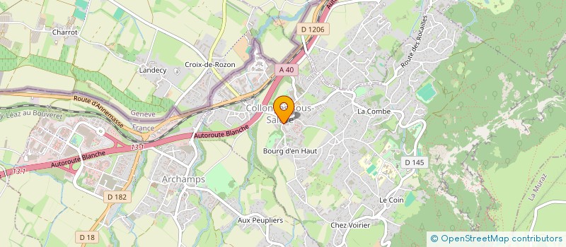 localisation de l'entreprise MONSIEUR ILARIO MAIOLO  COLLONGES-SOUS-SALEVE