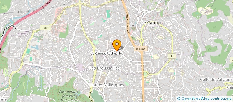 localisation de l'entreprise MONSIEUR ILIA LJUBISAVLJEVIC à LE CANNET