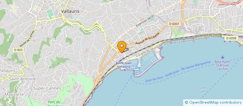 localisation de l'entreprise MONSIEUR ILIE STOICA à VALLAURIS