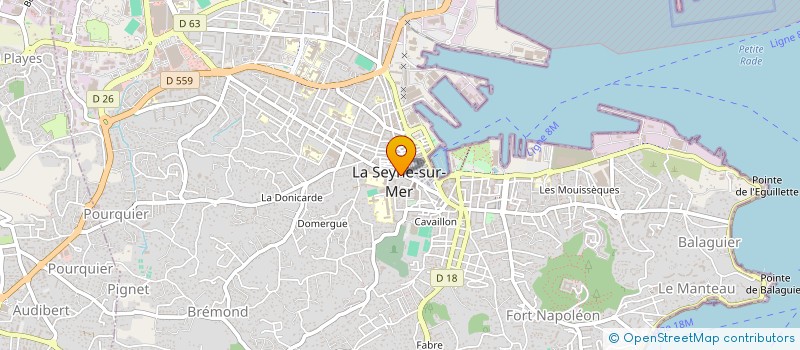 localisation de l'entreprise MONSIEUR ILIES ALIMA  LA SEYNE SUR MER