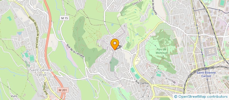 localisation de l'entreprise MONSIEUR ILIES RAMDANI  SAINT-ETIENNE