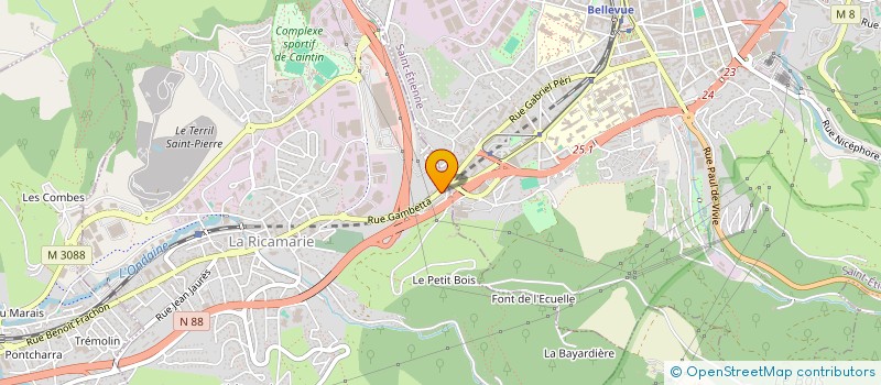 localisation de l'entreprise MONSIEUR ILKAY COSKUN  LA RICAMARIE