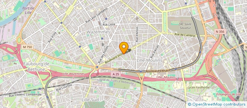 localisation de l'entreprise MONSIEUR ILLARIO RAZANY à LILLE