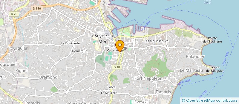 localisation de l'entreprise MONSIEUR ILLIA ANKUTSA à LA SEYNE-SUR-MER