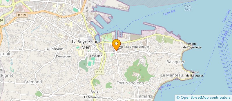 localisation de l'entreprise MONSIEUR ILLIES AOUAT à LA SEYNE-SUR-MER