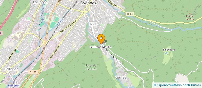 localisation de l'entreprise MONSIEUR ILYAS OZDEMIR à OYONNAX