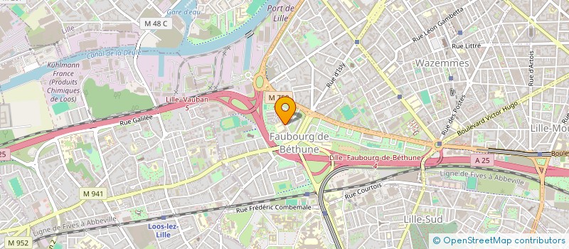 localisation de l'entreprise MONSIEUR ILYASS SALHI à LILLE