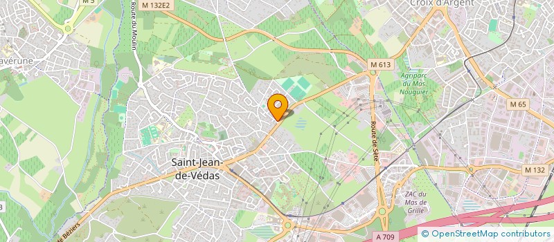 localisation de l'entreprise MONSIEUR ILYASSE MARROU  SAINT-JEAN-DE-VEDAS