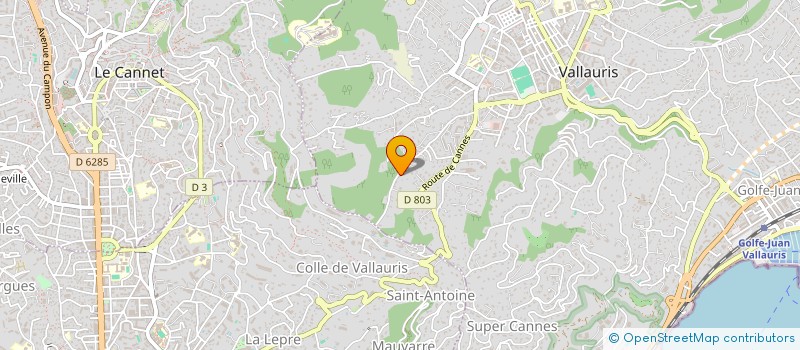 localisation de l'entreprise MONSIEUR ILYES BOUKILI  VALLAURIS