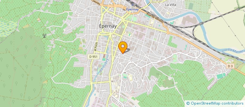 localisation de l'entreprise MONSIEUR INAL GURKAN  EPERNAY