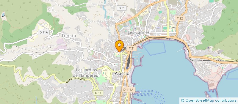 localisation de l'entreprise MONSIEUR IOAN LUCANU à AJACCIO