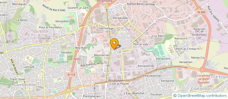 localisation de l'entreprise MONSIEUR IOAN MICULAS  BREST