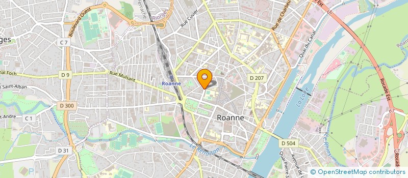 localisation de l'entreprise MONSIEUR IOAN RADU SITA à ROANNE