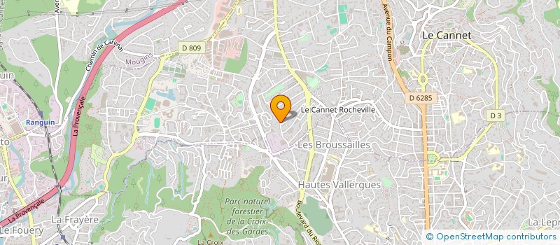 localisation de l'entreprise MONSIEUR ION AFANASII à LE CANNET