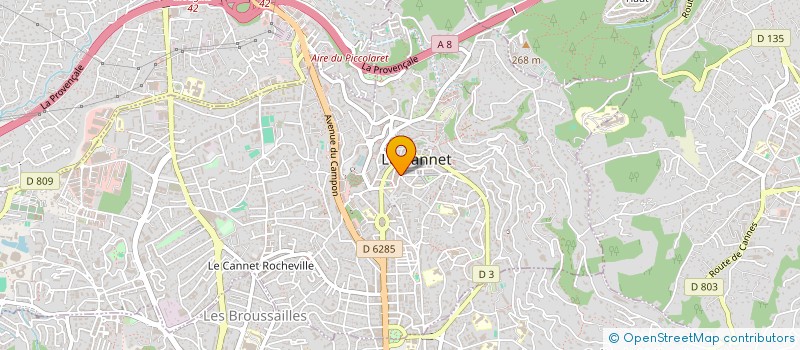 localisation de l'entreprise MONSIEUR ION BUGAN à LE CANNET