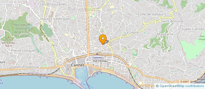 localisation de l'entreprise MONSIEUR ION COLESNIC à CANNES