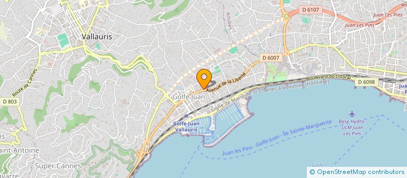 localisation de l'entreprise MONSIEUR ION CRISTEA  VALLAURIS