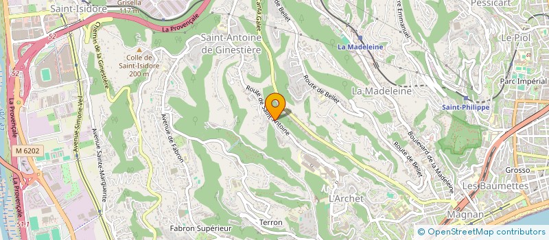 localisation de l'entreprise MONSIEUR ION DAMASCHIN  NICE