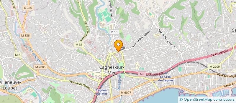 localisation de l'entreprise MONSIEUR ION DREGLEA à CAGNES-SUR-MER