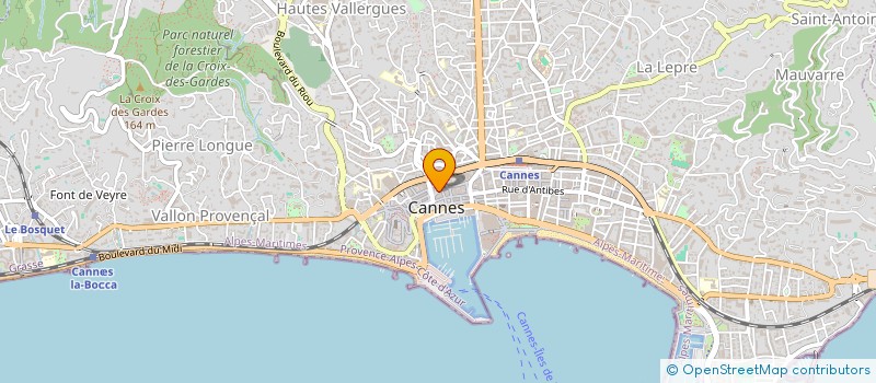 localisation de l'entreprise MONSIEUR ION MARCU à CANNES