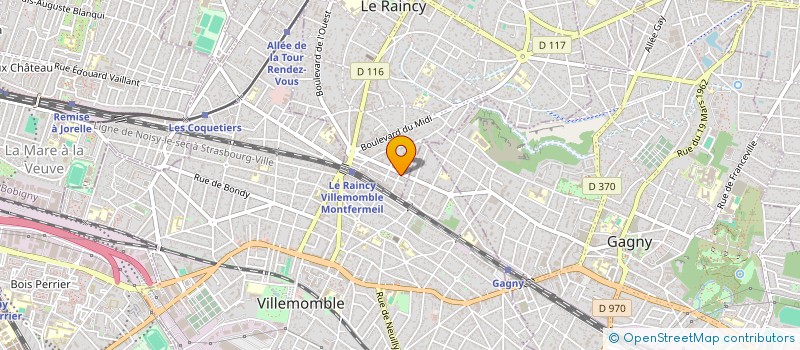 localisation de l'entreprise MONSIEUR ION NEGRU à LE RAINCY