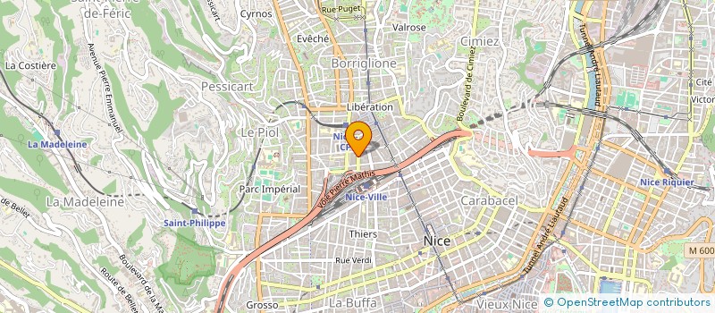 localisation de l'entreprise MONSIEUR ION NICU CONSTANTINESCU  NICE