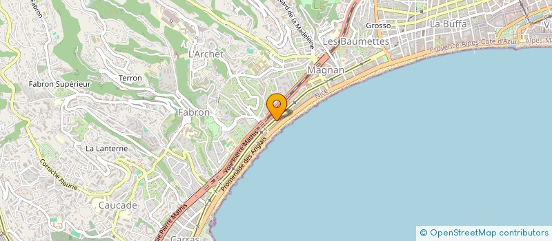 localisation de l'entreprise MONSIEUR ION PASCALUTA à NICE