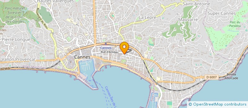 localisation de l'entreprise MONSIEUR ION PUSCASU à CANNES