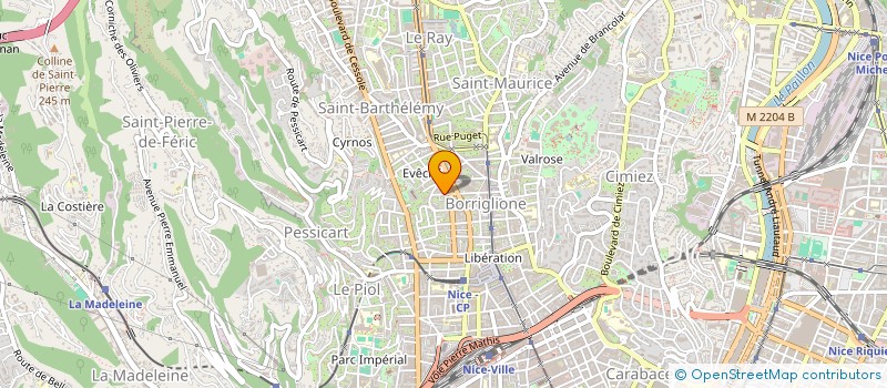 localisation de l'entreprise MONSIEUR ION RODIDEAL à NICE