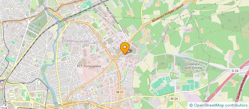 localisation de l'entreprise MONSIEUR ION RUSSU à CASTELNAU-LE-LEZ