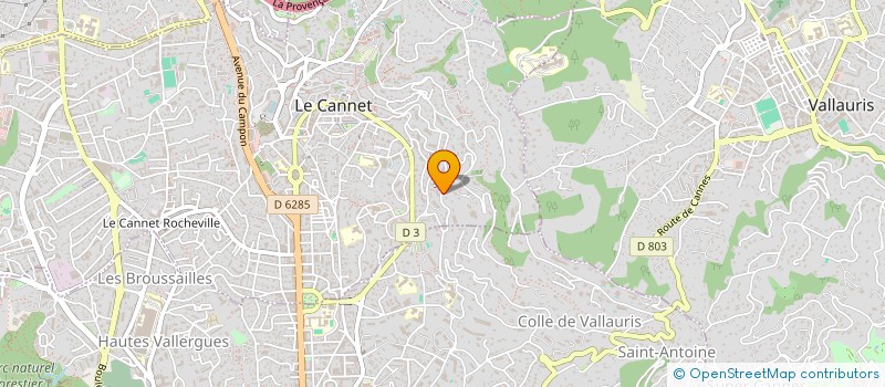 localisation de l'entreprise MONSIEUR ION SAJIN à LE CANNET
