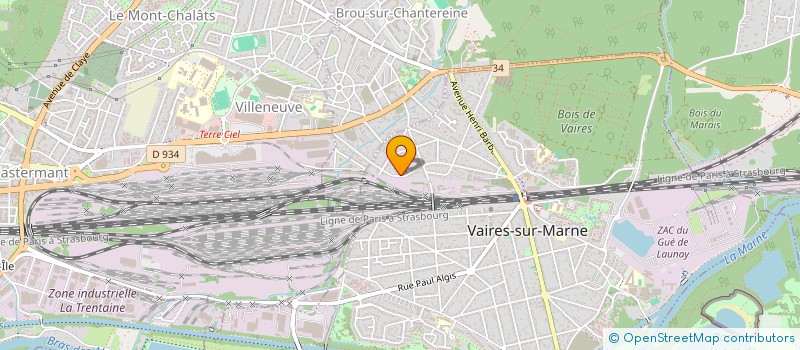 localisation de l'entreprise MONSIEUR ION STRATIN  POISSY