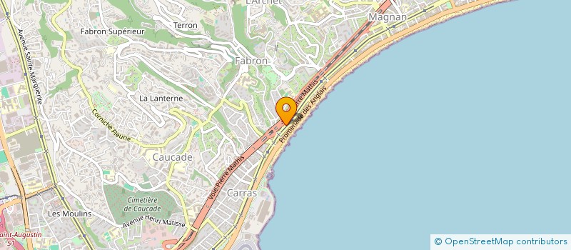 localisation de l'entreprise MONSIEUR ION SUIU à NICE