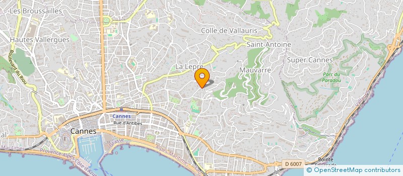 localisation de l'entreprise MONSIEUR ION TUGUI  CANNES