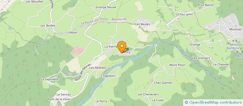 localisation de l'entreprise MONSIEUR ION VISANU  FILLIERE