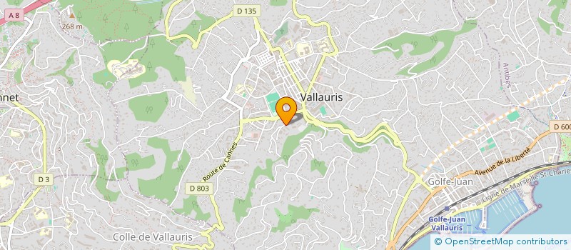 localisation de l'entreprise MONSIEUR IONEL BENKEMOUN à VALLAURIS