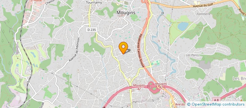 localisation de l'entreprise MONSIEUR IONEL BIG à MOUGINS