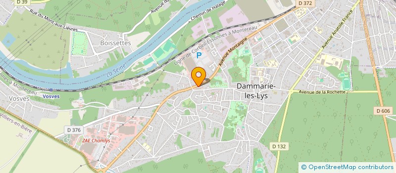 localisation de l'entreprise MONSIEUR IONUT-CIPRIAN MIU à DAMMARIE-LES-LYS