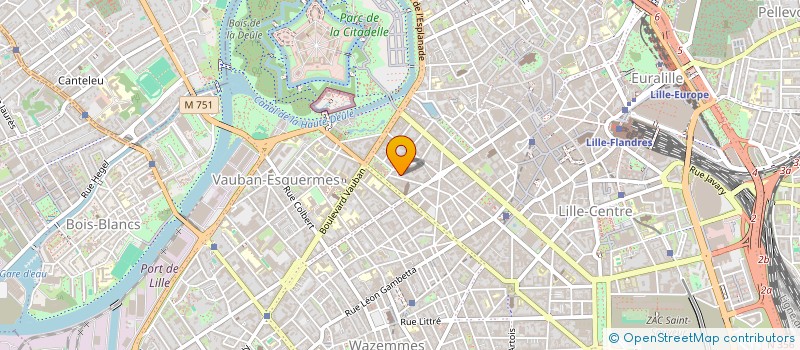 localisation de l'entreprise MONSIEUR IOSEB ASPANIDZE  LILLE