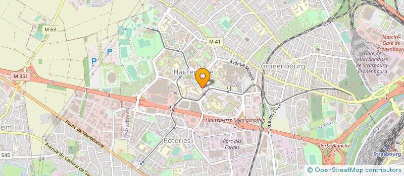 localisation de l'entreprise MONSIEUR IOSIF BUTTARA à STRASBOURG