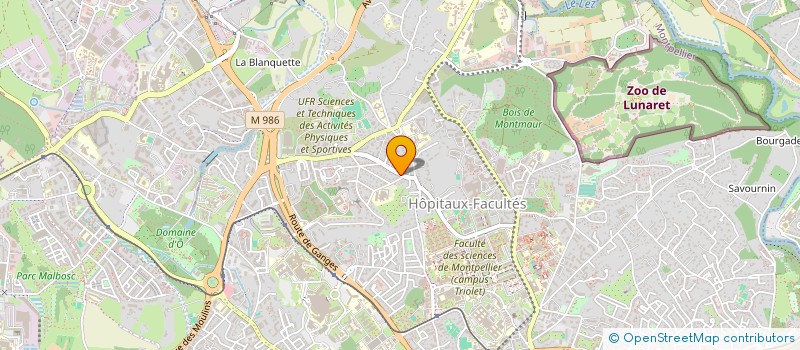 localisation de l'entreprise MONSIEUR IRCHADI ABDOUL-MADJIDI à MONTPELLIER