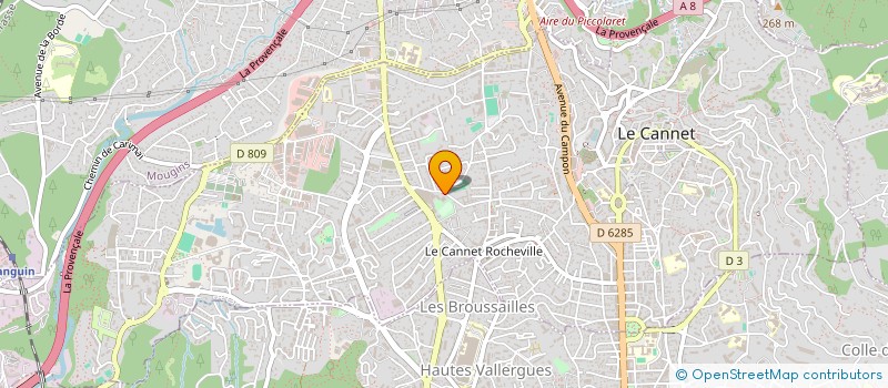 localisation de l'entreprise MONSIEUR IRENEU MONTEIRO TAVARES à LE CANNET