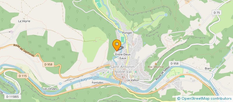 localisation de l'entreprise MONSIEUR IRENEUS RANDSDORP  SAINT-ANTONIN-NOBLE-VAL