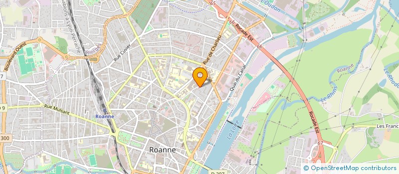 localisation de l'entreprise MONSIEUR IRFAN ECEVIT  ROANNE