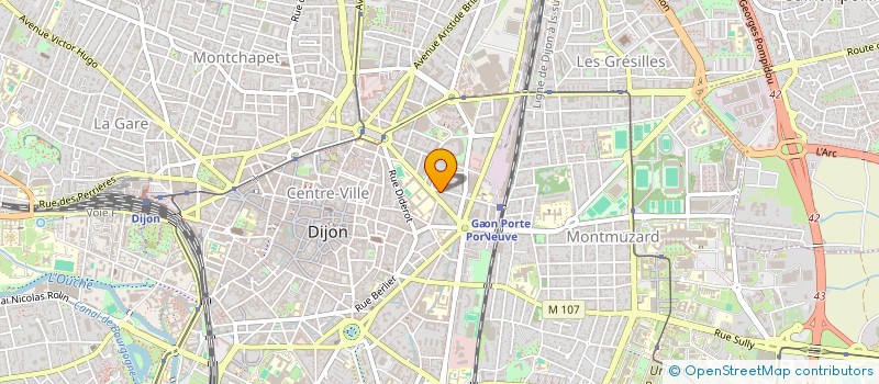 localisation de l'entreprise MONSIEUR IRFAN MOHAMMADI  DIJON
